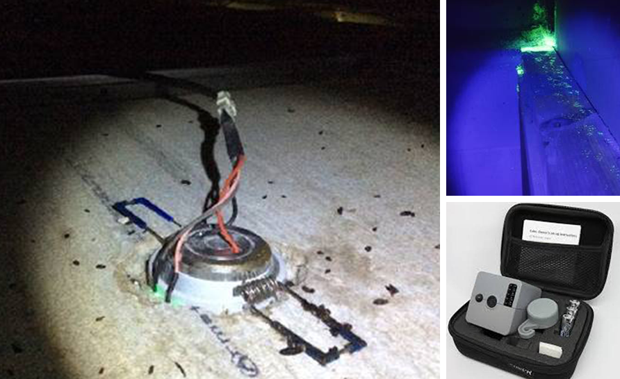 PestTrain site investigation photographs showing pest evidence and inspection equipment